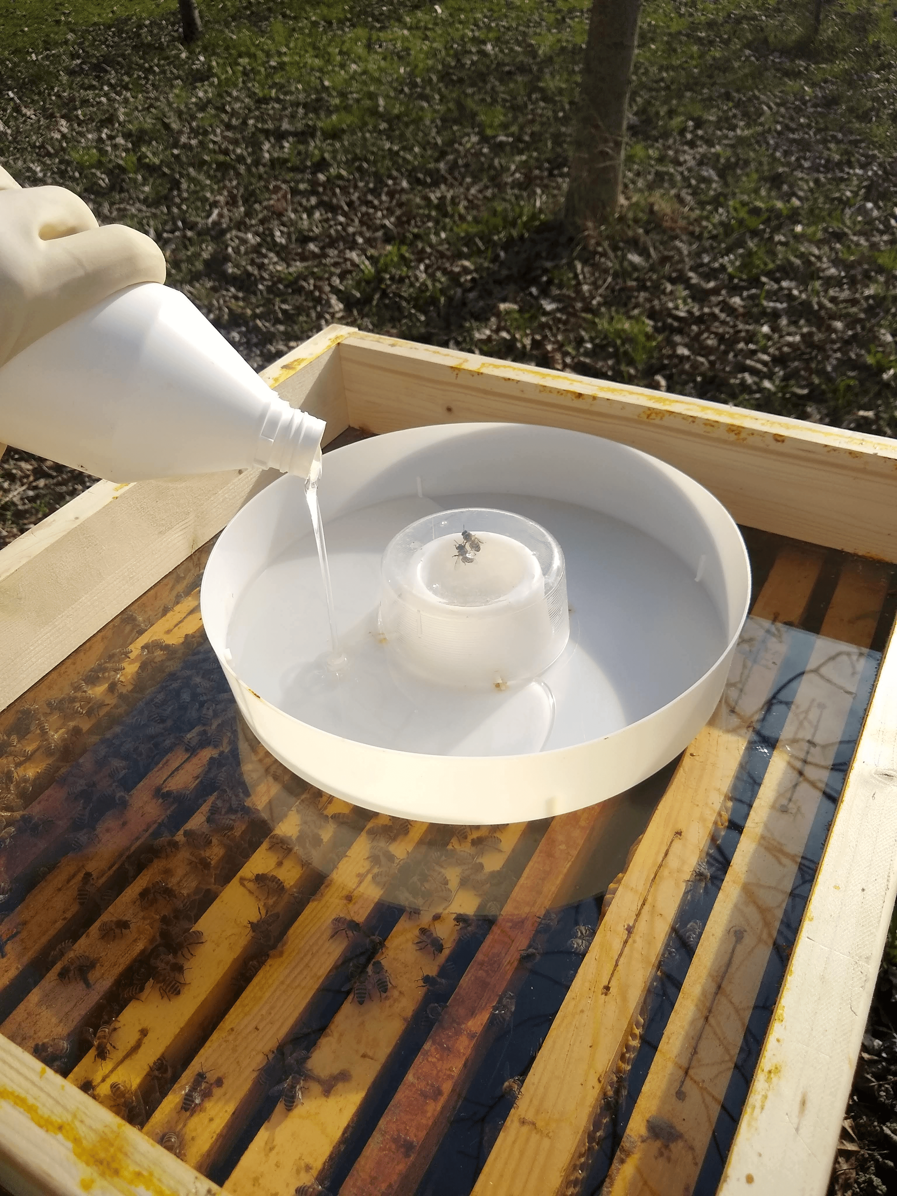 Micostop në koshere